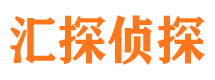 大新侦探公司